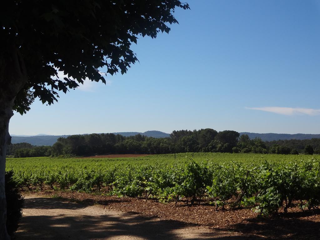 Chateau Nestuby 科蒂尼亚克 外观 照片
